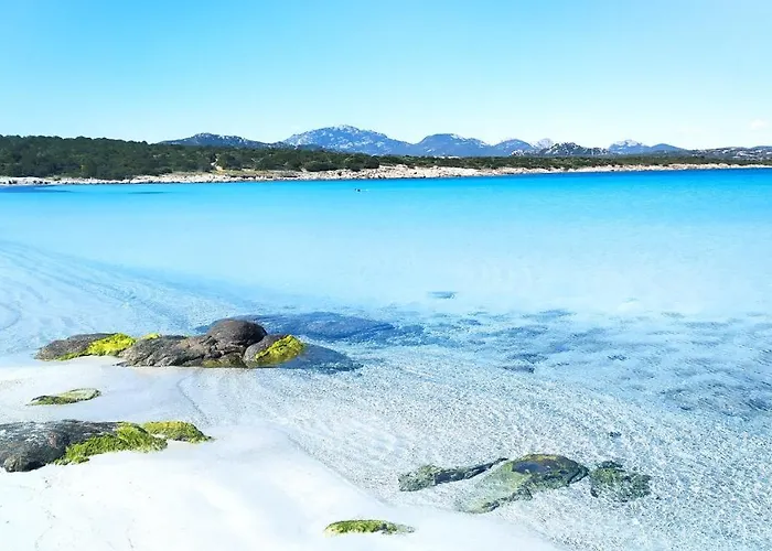 Sardegna Golfo Di Marinella 公寓 *